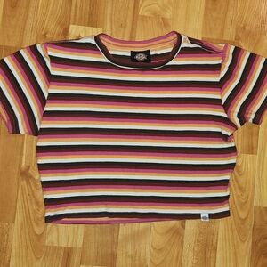 Dickies Multicolor Striped Crop Top